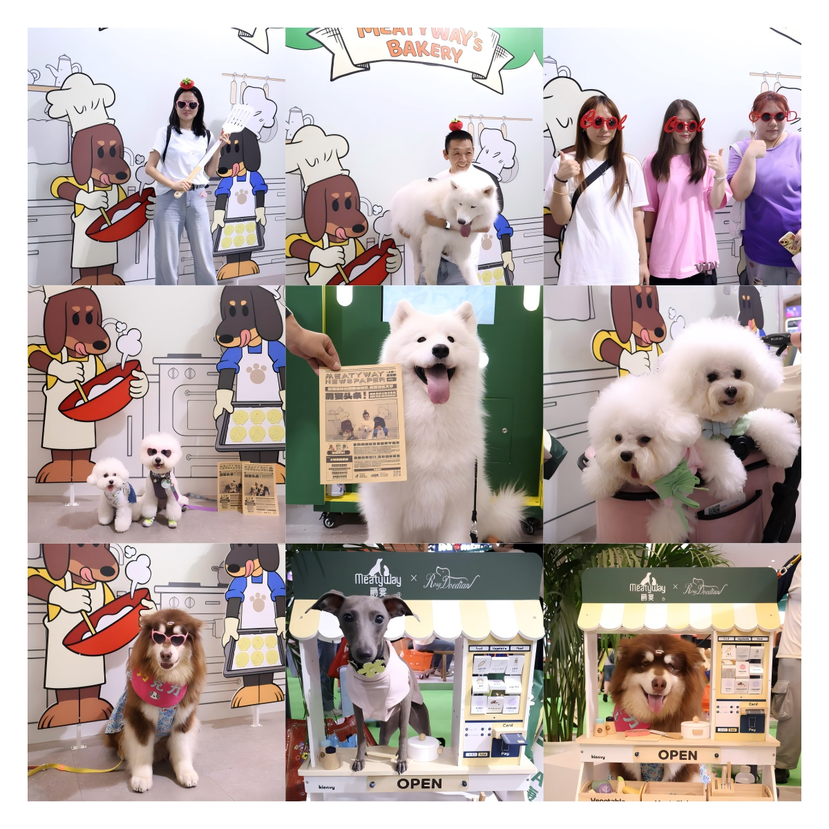 展连续三年拿下“年度实力宠物食品品牌大奖”CQ9电子平台佩蒂股份旗下品牌爵宴在亚宠(图6)